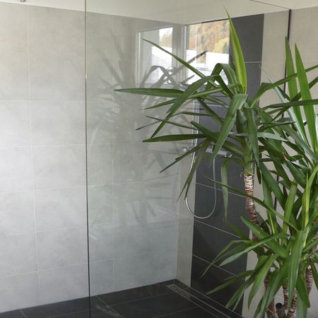 Glasdusche mit Topfpflanze